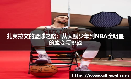 bsports官网 必一运动