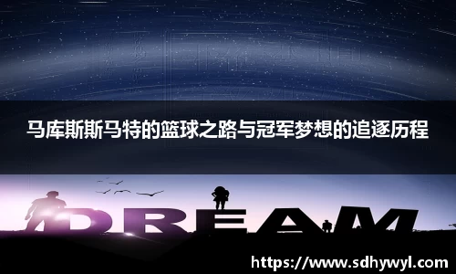 b体育官网