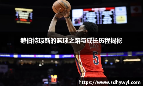 Bsport体育在线官网